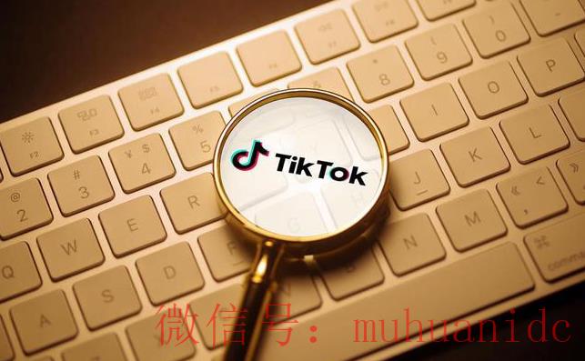 tiktok账号购买平台