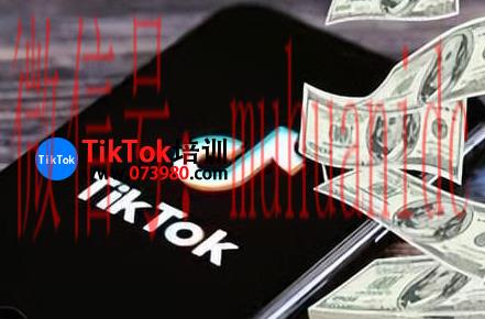 tiktok账号购买平台