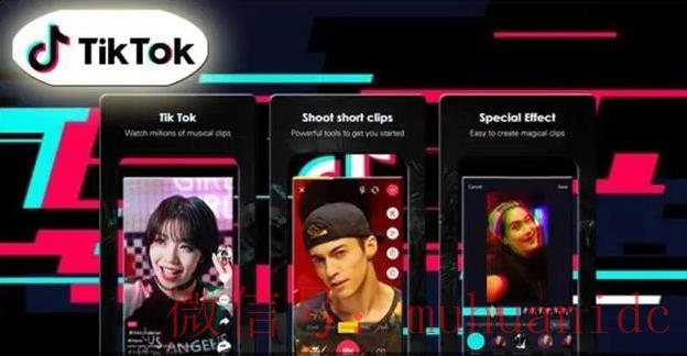 tiktok账号购买平台