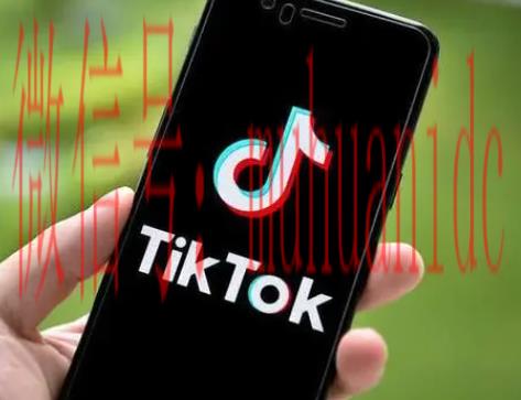 tiktok账号购买平台