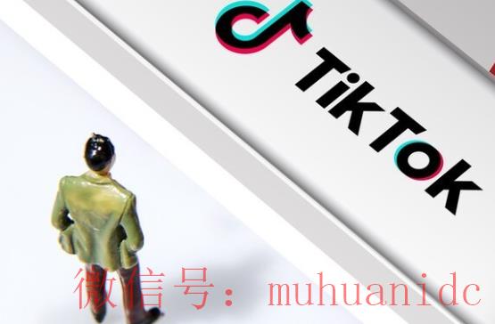 tiktok账号购买平台