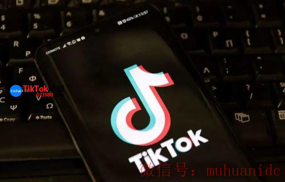 tiktok账号购买平台