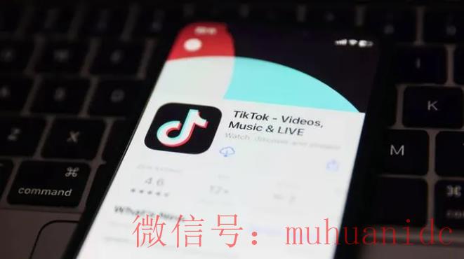 tiktok账号购买平台