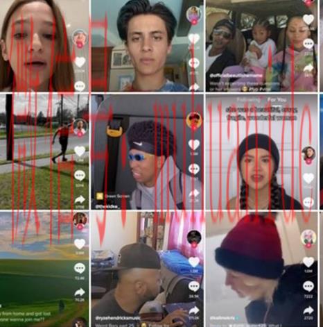 tiktok账号购买平台