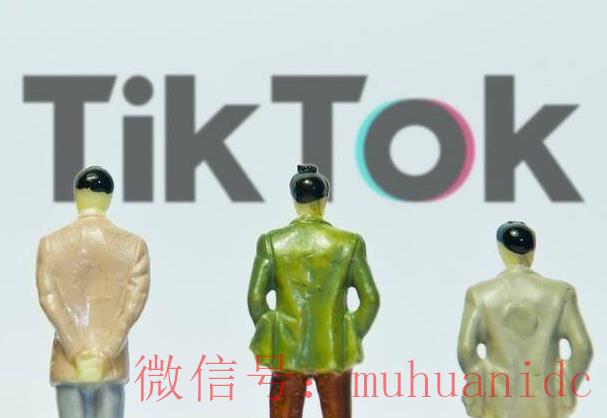 tiktok账号购买平台