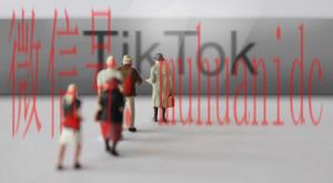tiktok账号购买平台