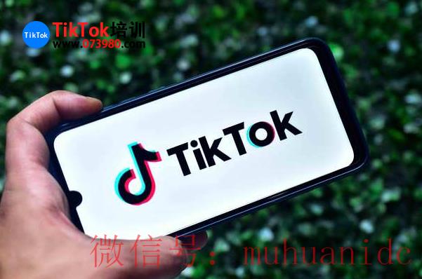 tiktok账号购买平台
