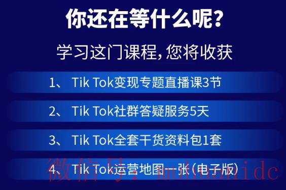 tiktok账号购买平台