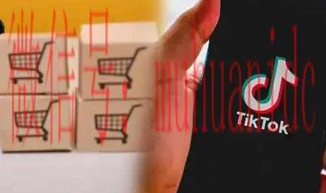 tiktok账号购买平台