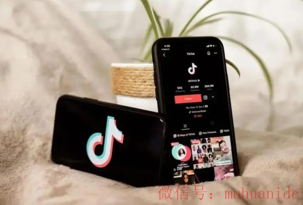 tiktok账号购买平台