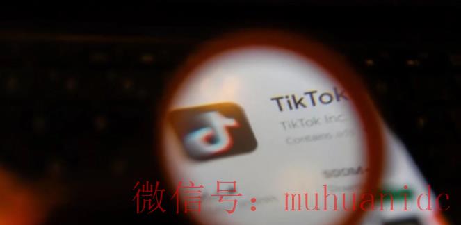 tiktok账号购买平台