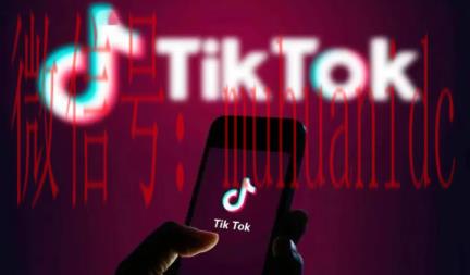 tiktok账号购买平台