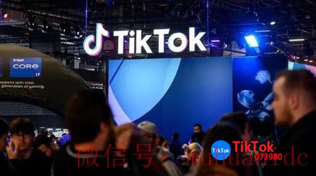 tiktok账号购买平台