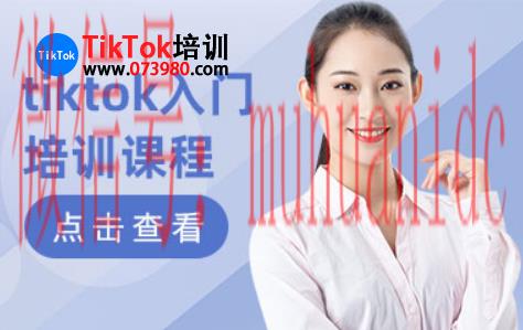 tiktok账号购买平台