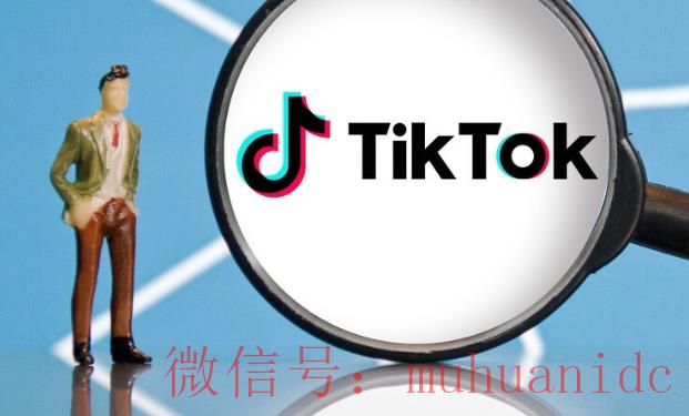 tiktok账号购买平台