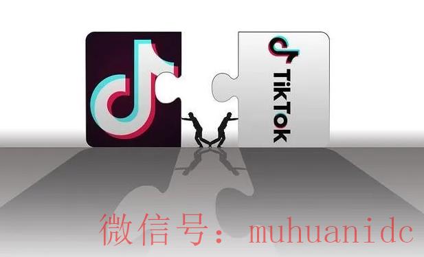 tiktok账号购买平台