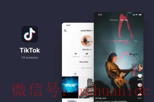 tiktok账号购买平台