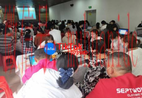 tiktok账号购买平台