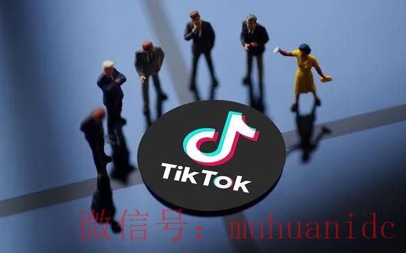 tiktok账号购买平台