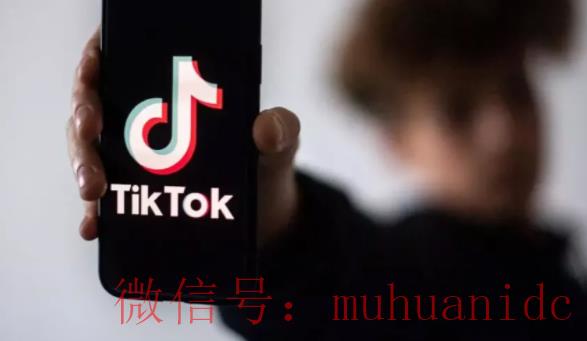 tiktok账号购买平台