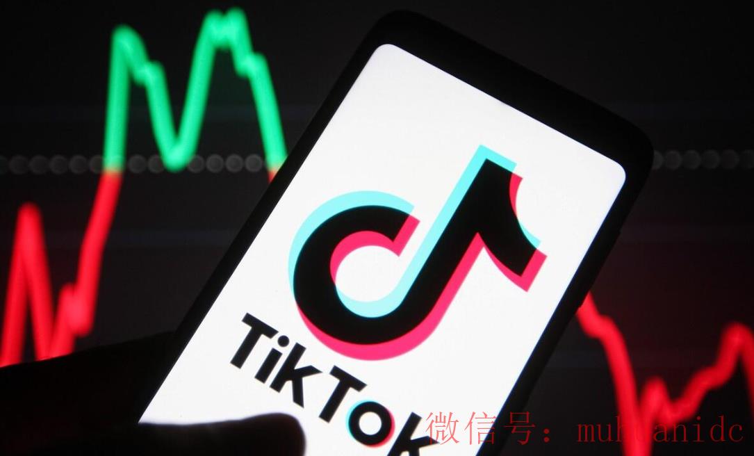 tiktok账号购买平台