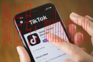 tiktok账号购买平台