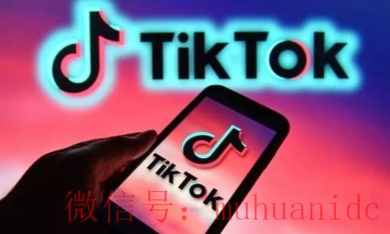 tiktok账号购买平台
