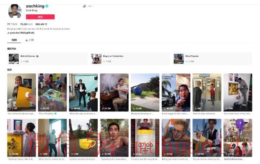 tiktok账号购买平台