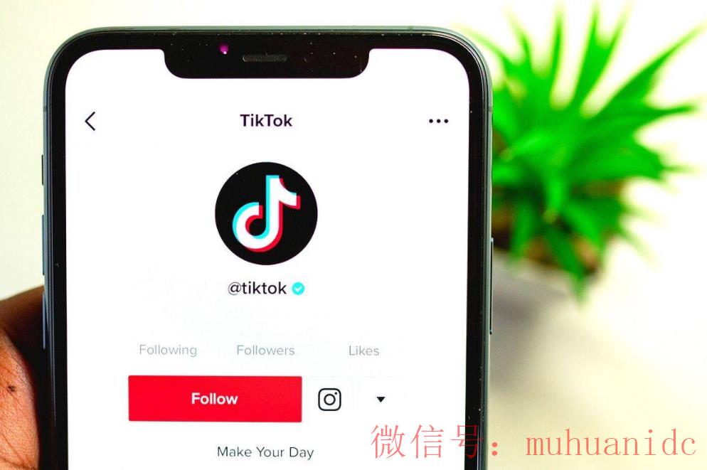 tiktok账号购买平台