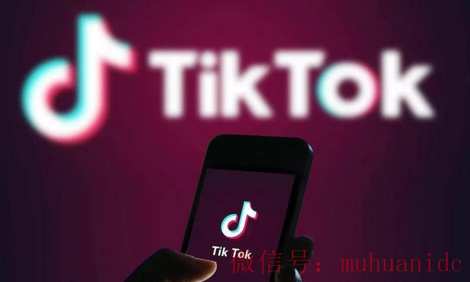 tiktok账号购买平台