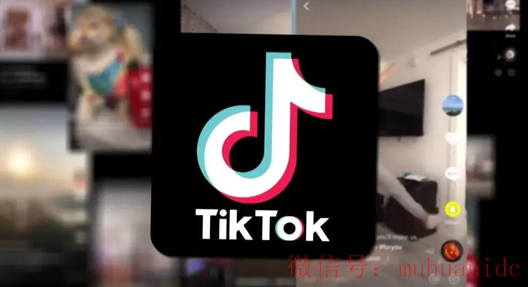 tiktok账号购买平台