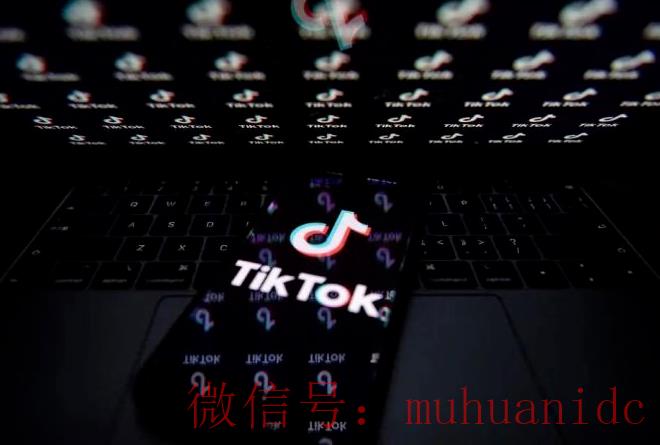 tiktok账号购买平台