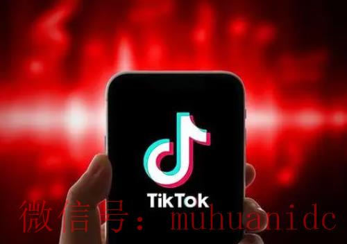 tiktok账号购买平台