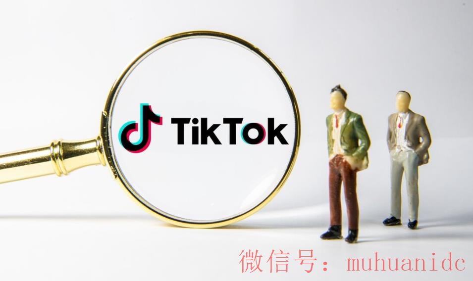 tiktok账号购买平台