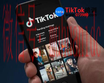 tiktok账号购买平台