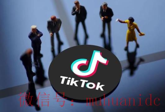 tiktok账号购买平台