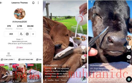 tiktok账号购买平台