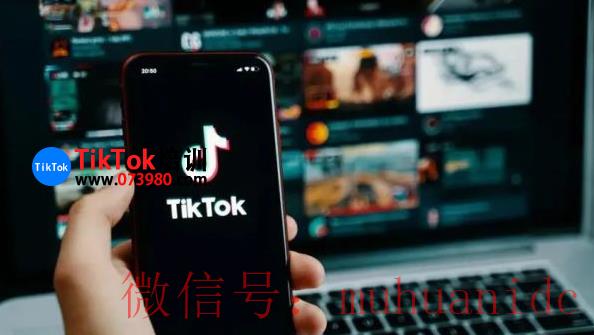 tiktok账号购买平台