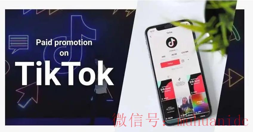 tiktok账号购买平台