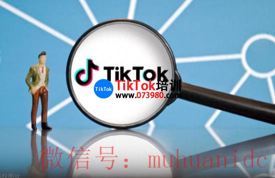 tiktok账号购买平台
