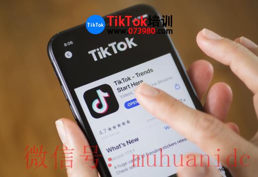 tiktok账号购买平台