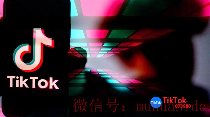 tiktok账号购买平台