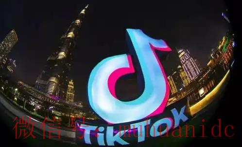 tiktok账号购买平台