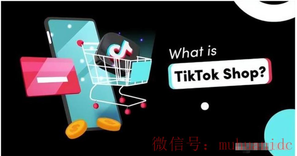 tiktok账号购买平台