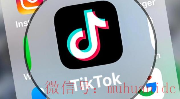 tiktok账号购买平台