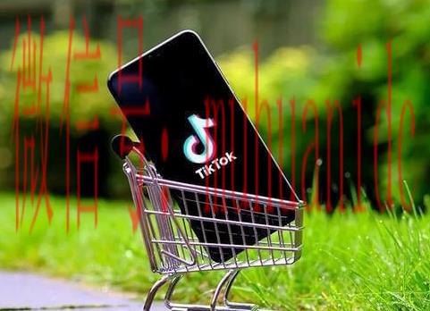 tiktok账号购买平台
