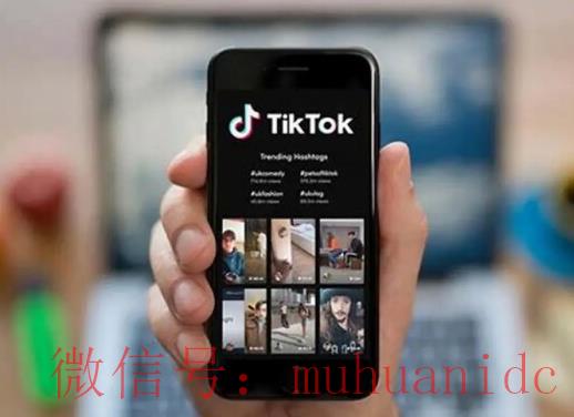 tiktok账号购买平台