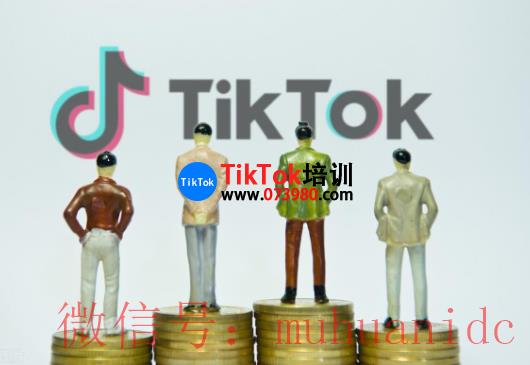 tiktok账号购买平台