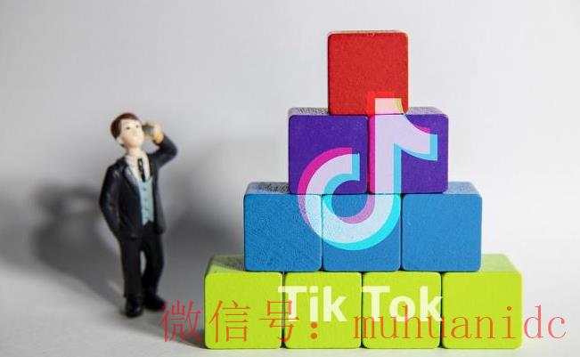 tiktok账号购买平台