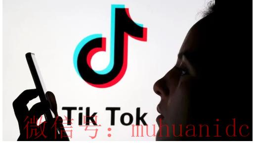 tiktok账号购买平台